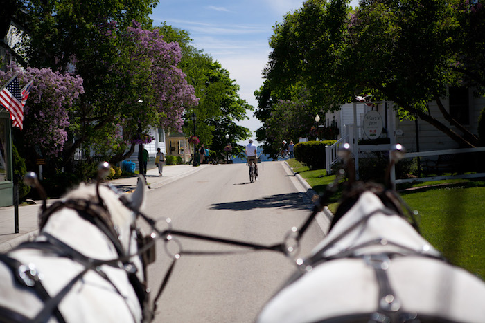 Mackinac Island Carriage Tour