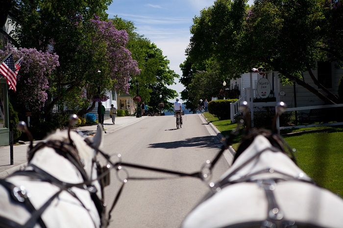 Mackinac Island Carriage Tour