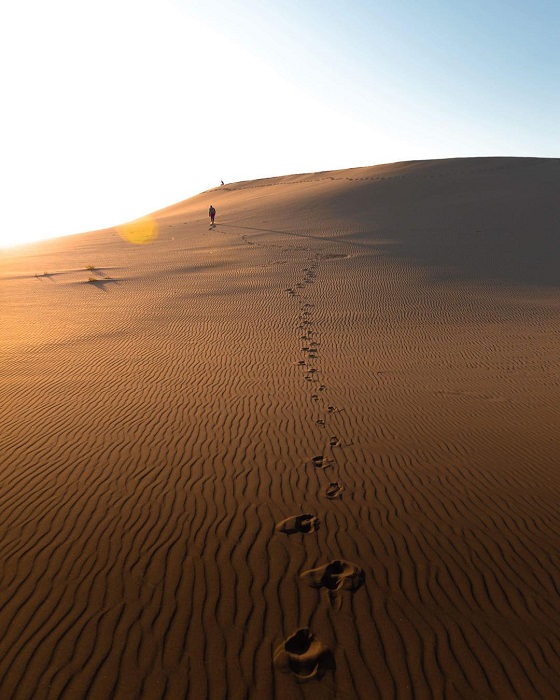 dune rides near me