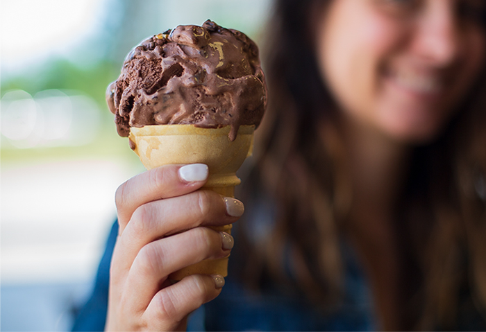 Treat Dreams Treat Dreams Pure Michigan Ice Cream