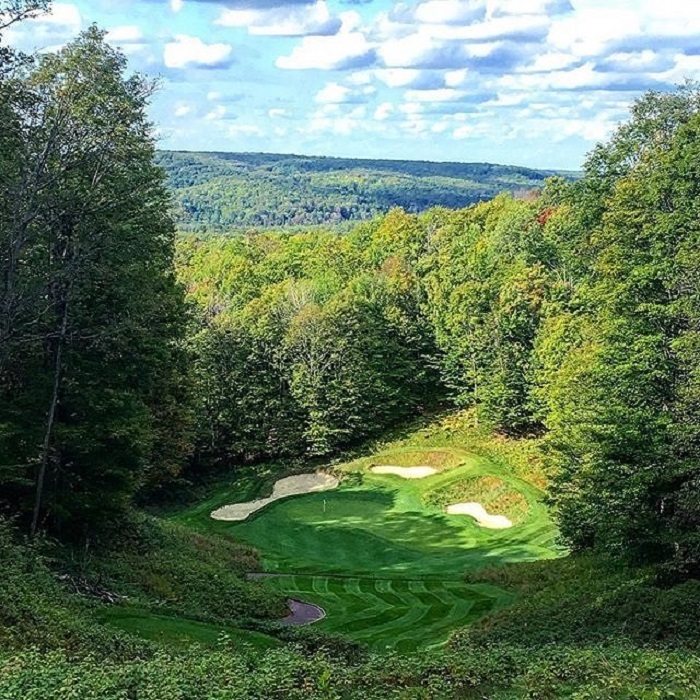 Treetops Resort
