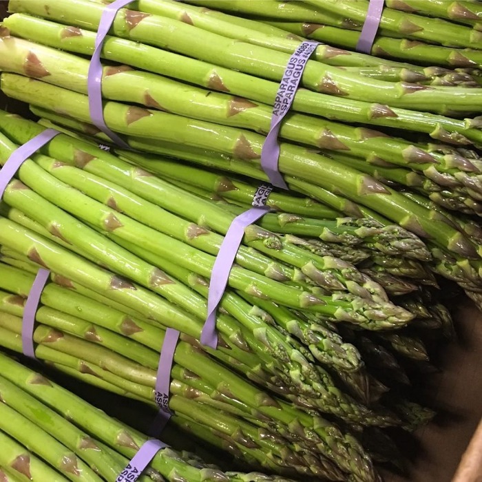 Bundle of fresh picked asparagus