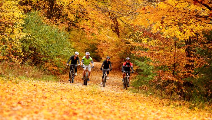Biking through the fall colors