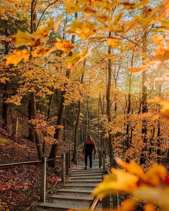 View of the Rosy Mound Trail through orange fall foliage