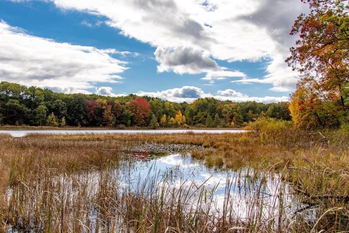 Crooked Lake, surrounded by fall color trees