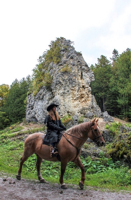 equitazione a mackinac island state park