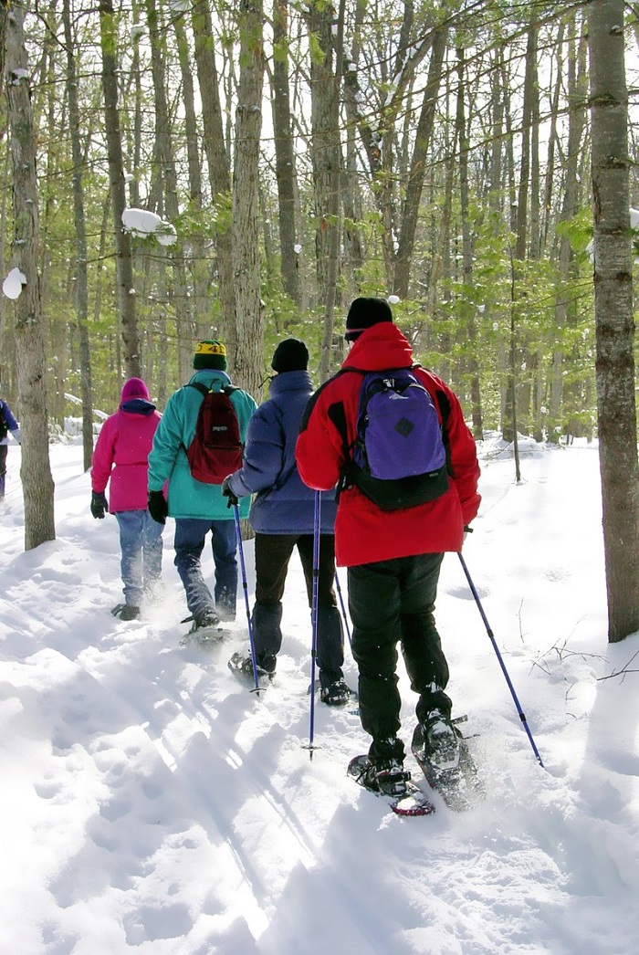 Snowshoeing at Chippewa Nature Center
