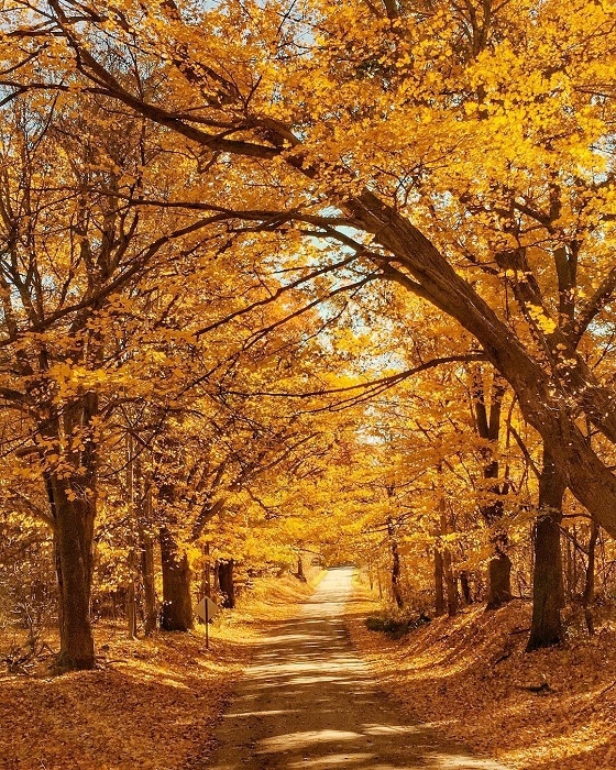  Aire de loisirs de Waterloo à l'automne 