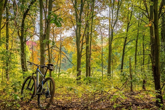 Yankee Springs Recreation Area