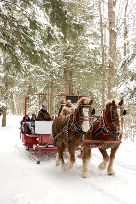 Horses pulling sleigh of people through snow.
