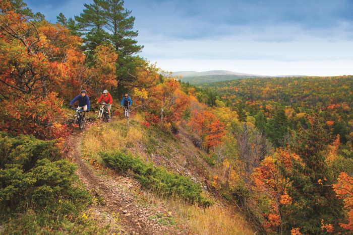 Mountain bikers on mountain during fall
