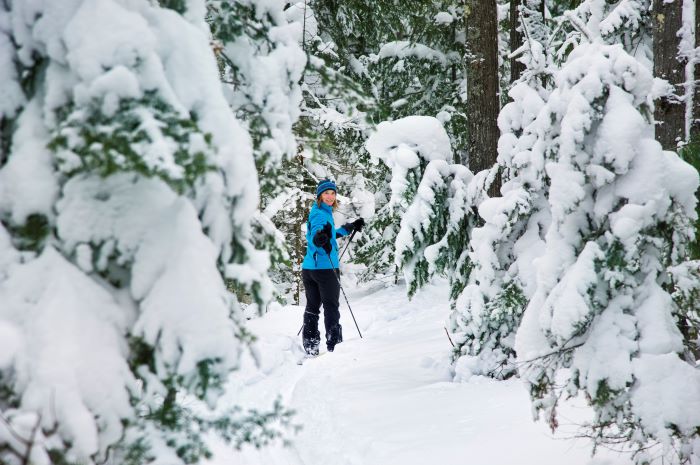 Woman cross country skiing in snowy forest