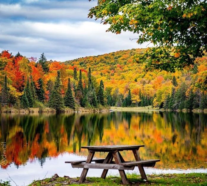 Picnic table by lake during fall
