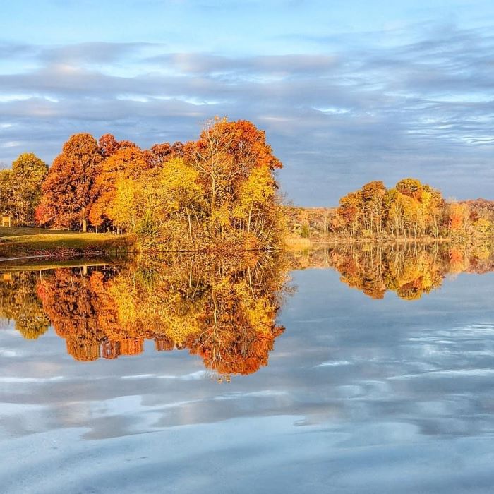 Fall trees along inland like in Ann Arbor