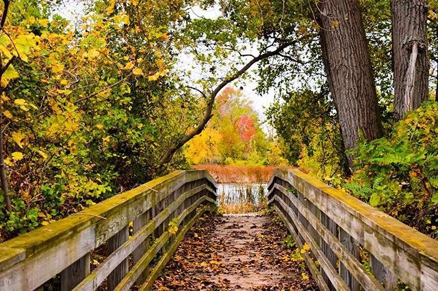 Wooden walking path in Bay City