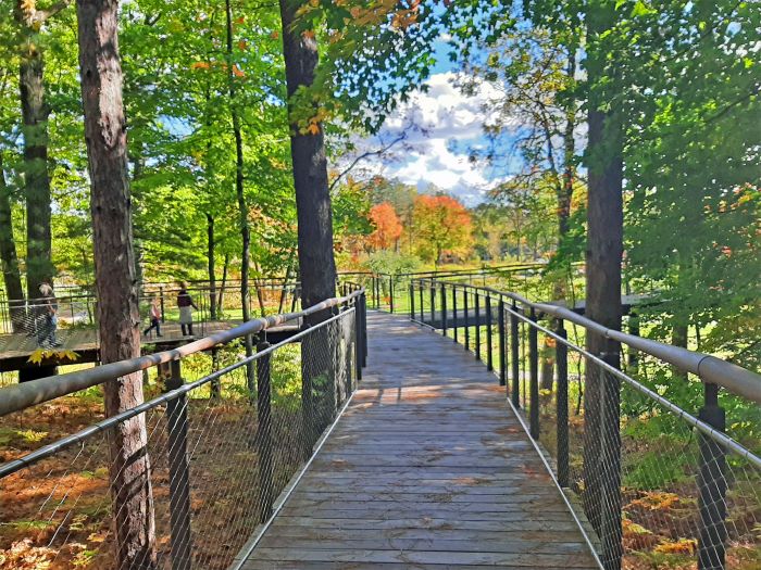 Canopy Walk in trees at Dow Gardens' Whiting Forest