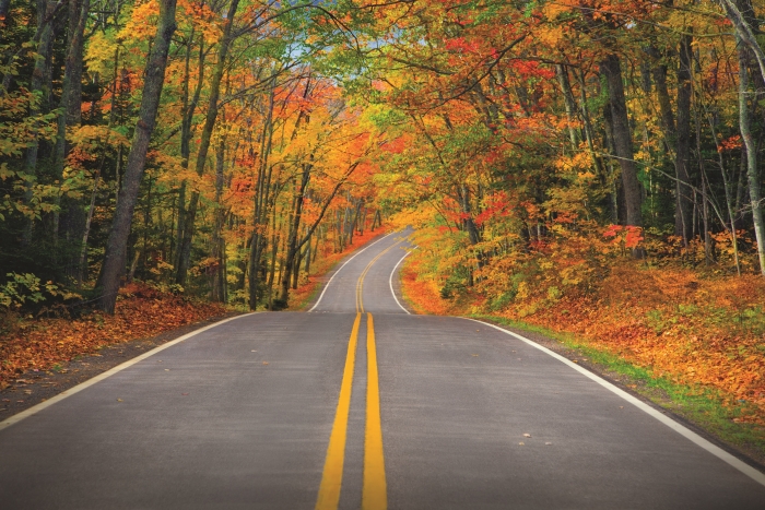 A road traveling through a autumn forest in the Keweenaw Peninsula Road.